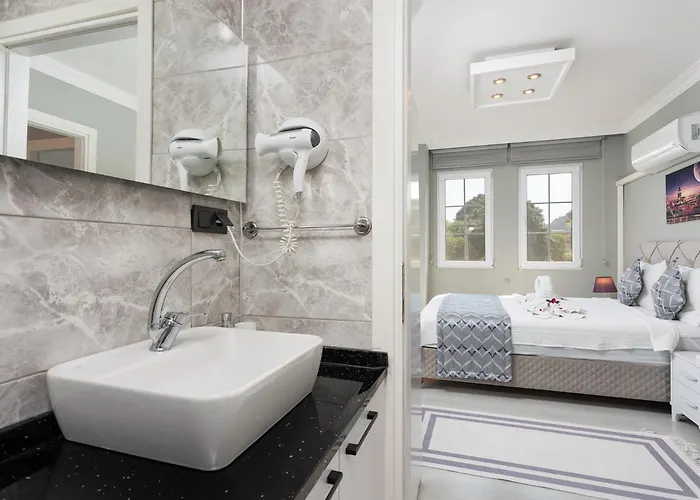 Delfin Ortaca (Mugla)