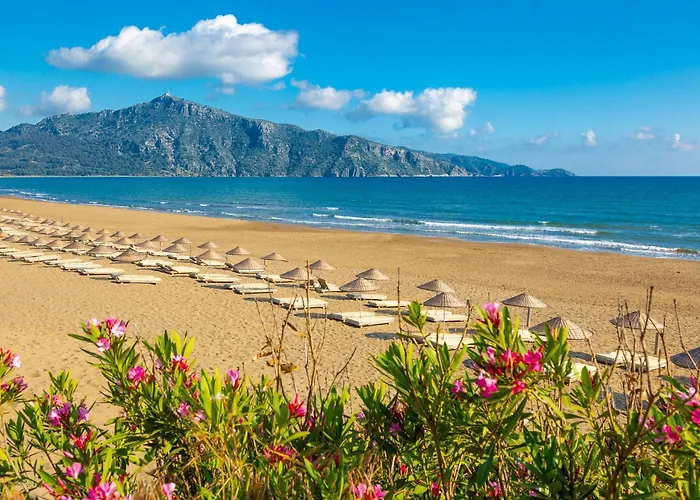 Delfin * Ortaca (Mugla)