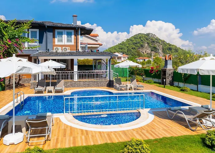 Delfin Ortaca (Mugla)